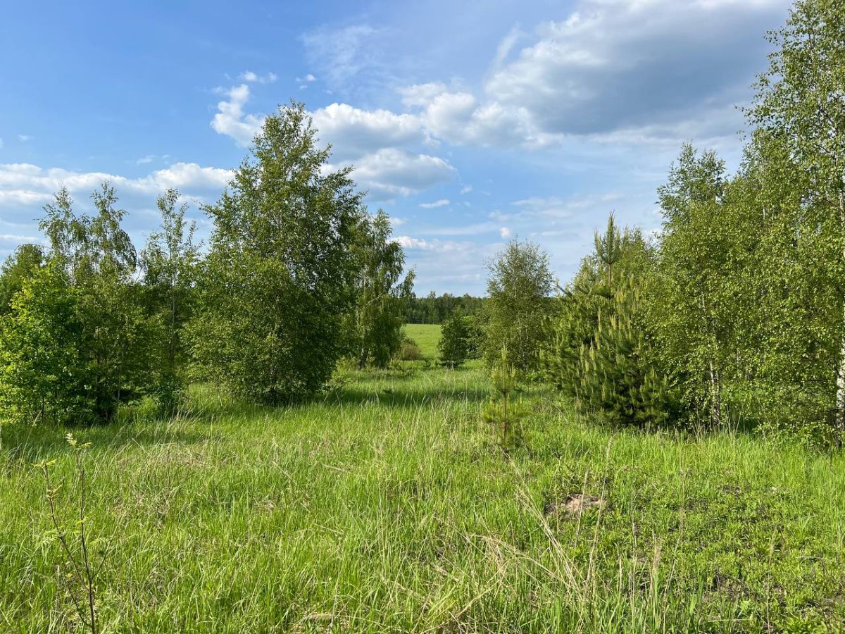 Кузяево Вилладж