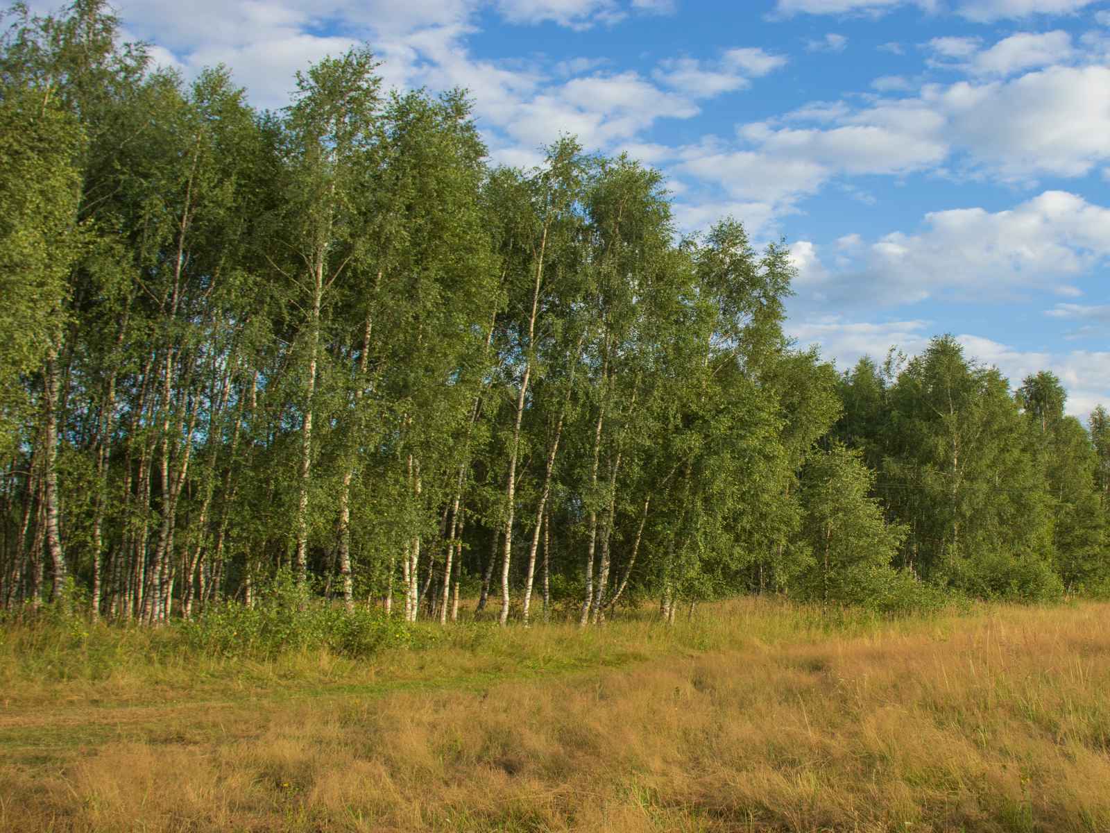 Участок №113 в поселке «Lakeside Residence»