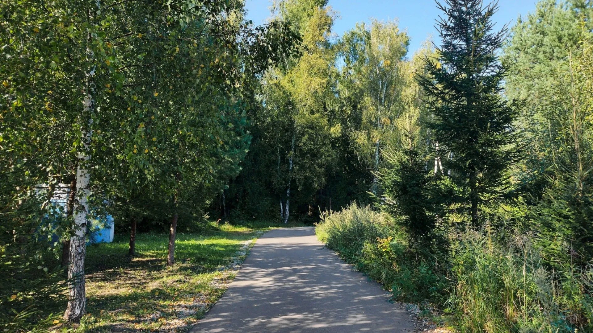 Поселочная дорога