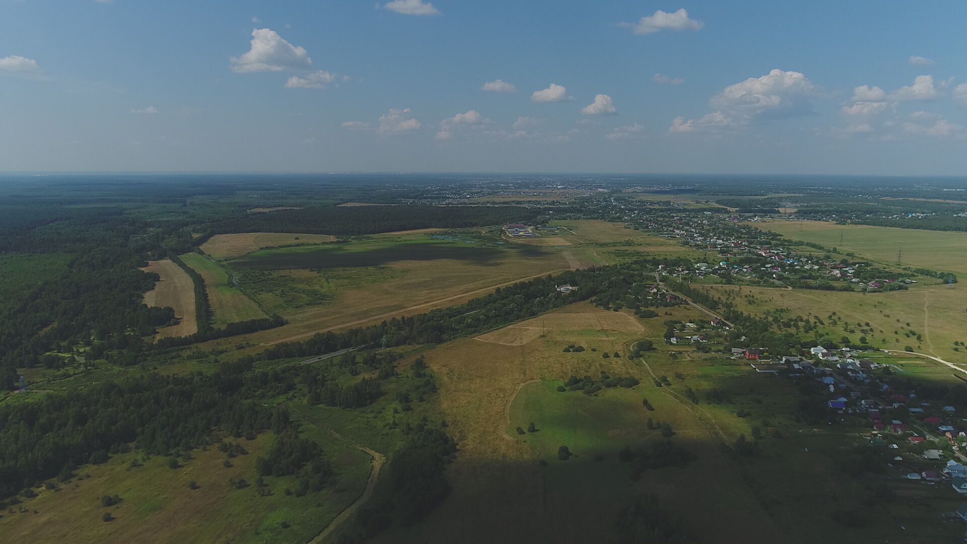 Коттеджный поселок у леса, вид сверху