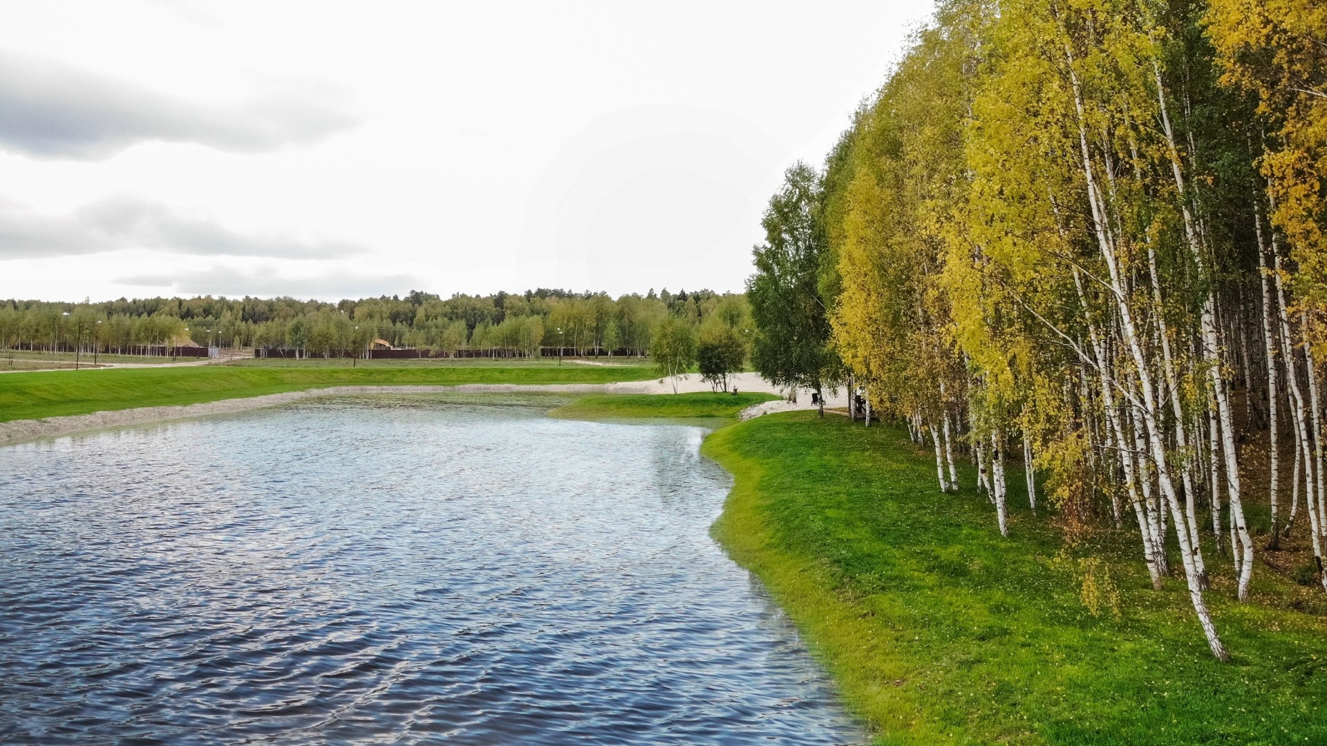 Река у леса