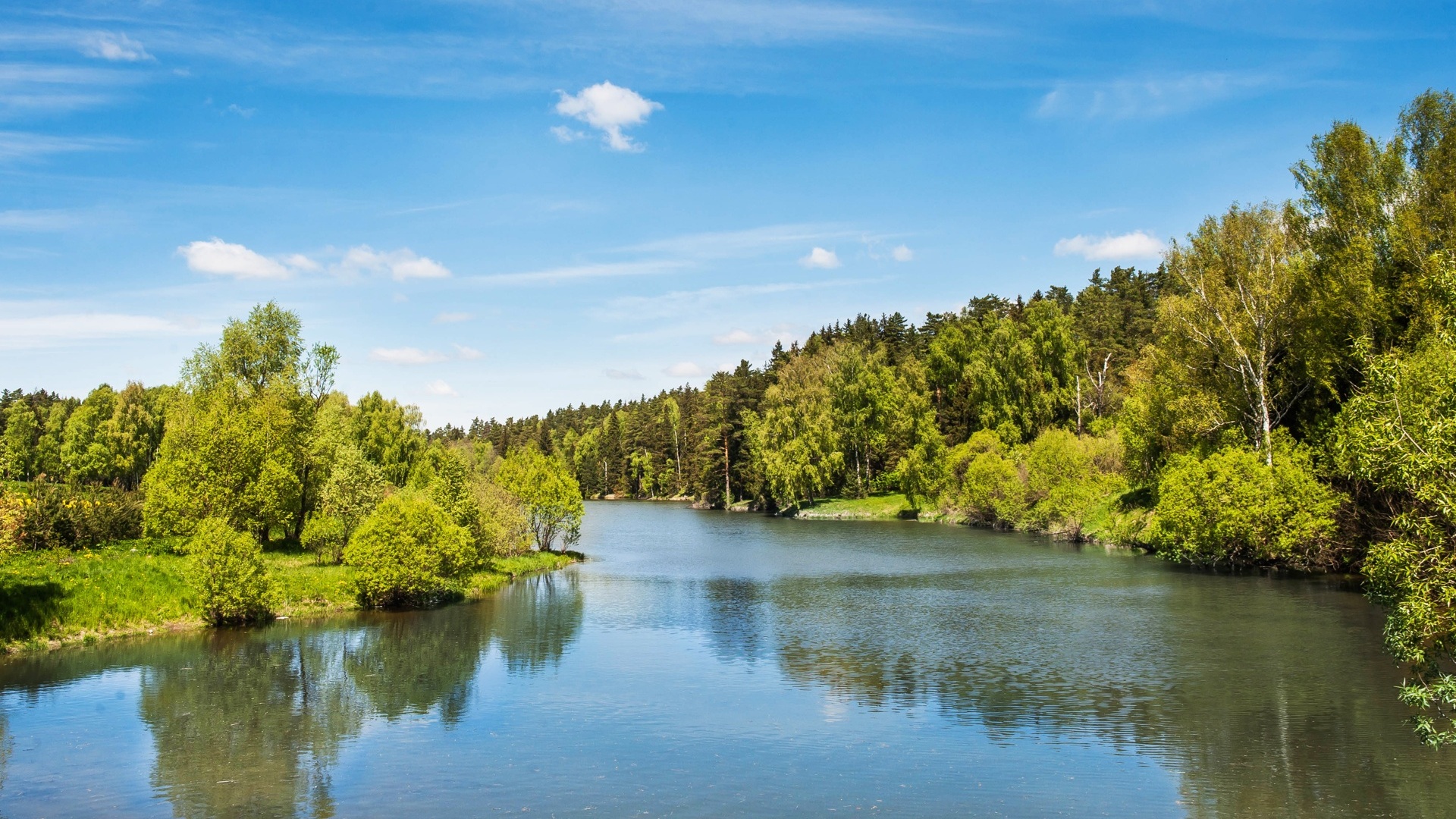 Водоем у леса