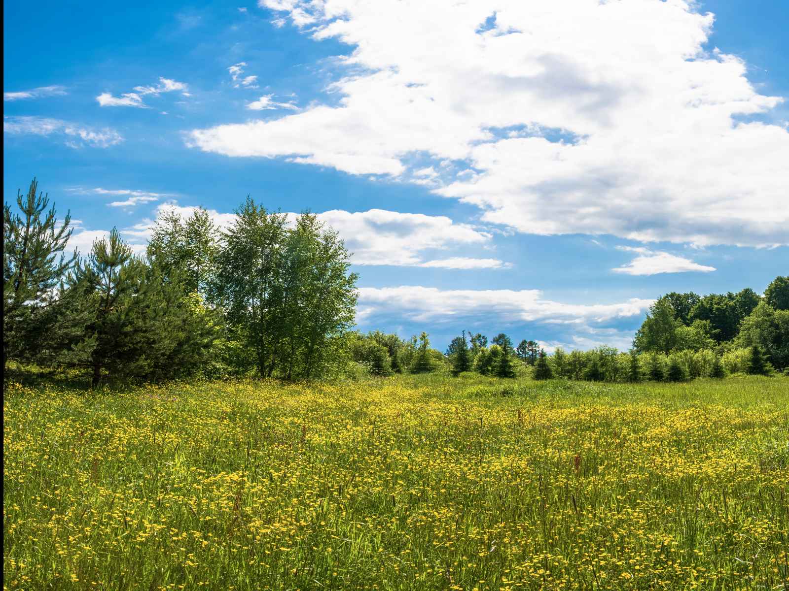Участок №123 в поселке «Lakeside Residence»