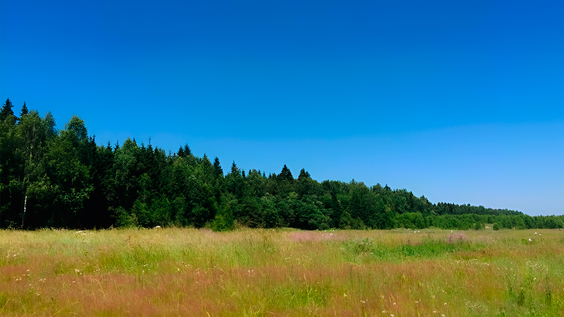Участок под свободную застройку