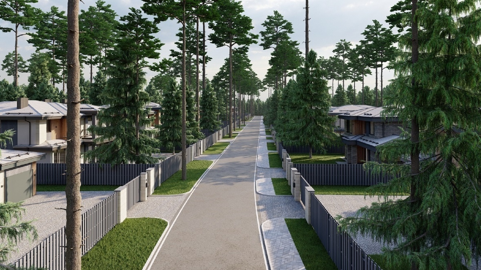 Дорога внутри поселка