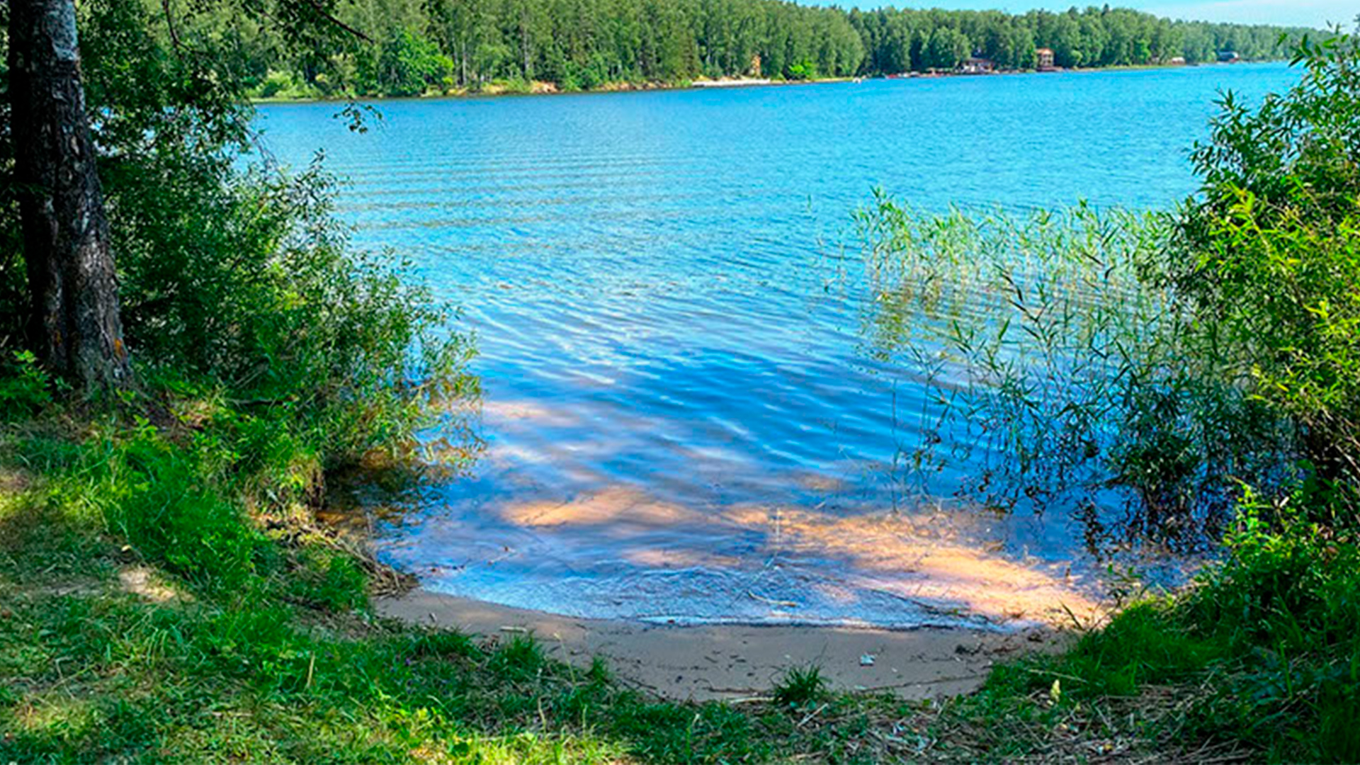 Зубовское водохранилище