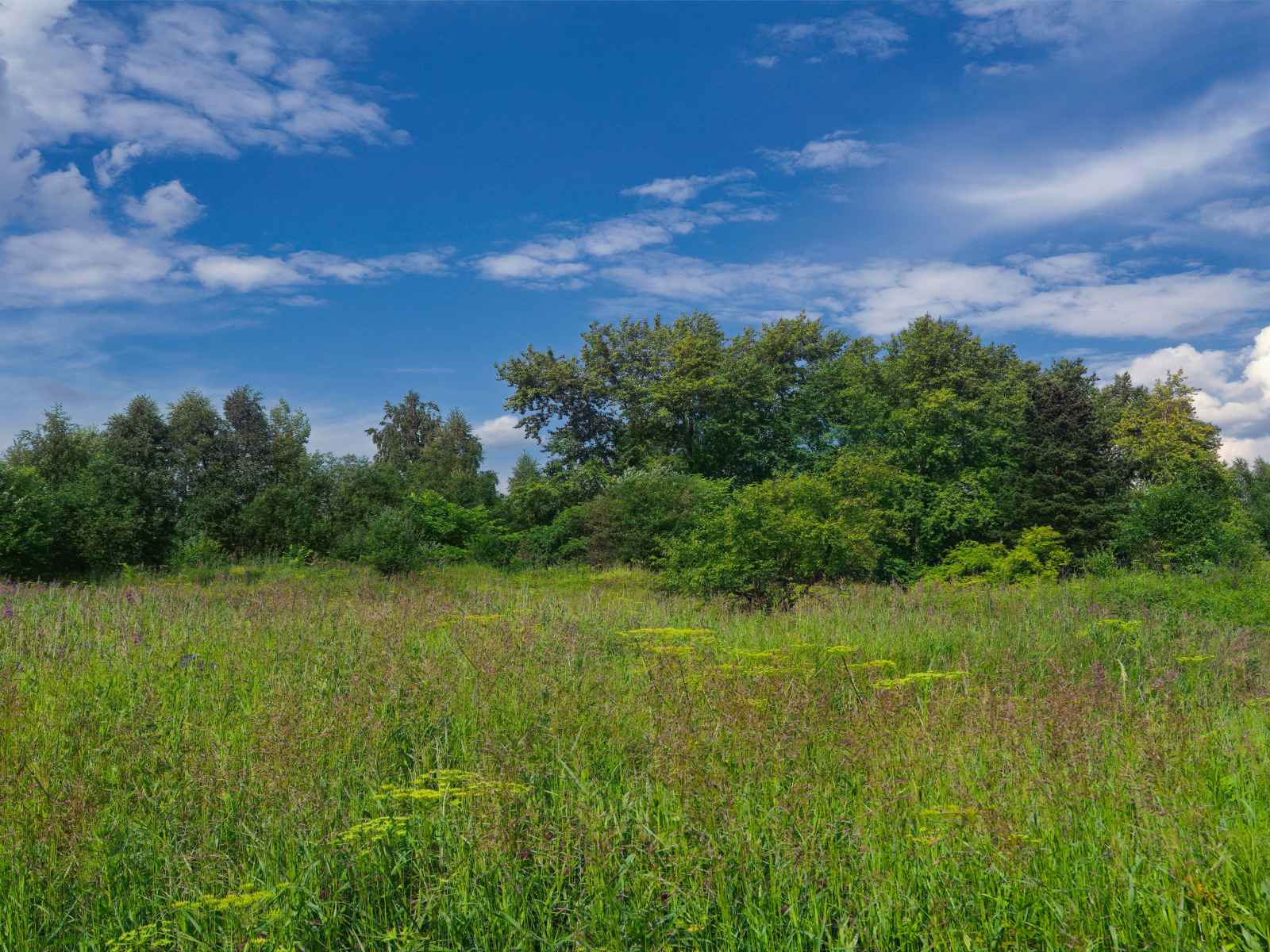 Участок №127 в поселке «Lakeside Residence»