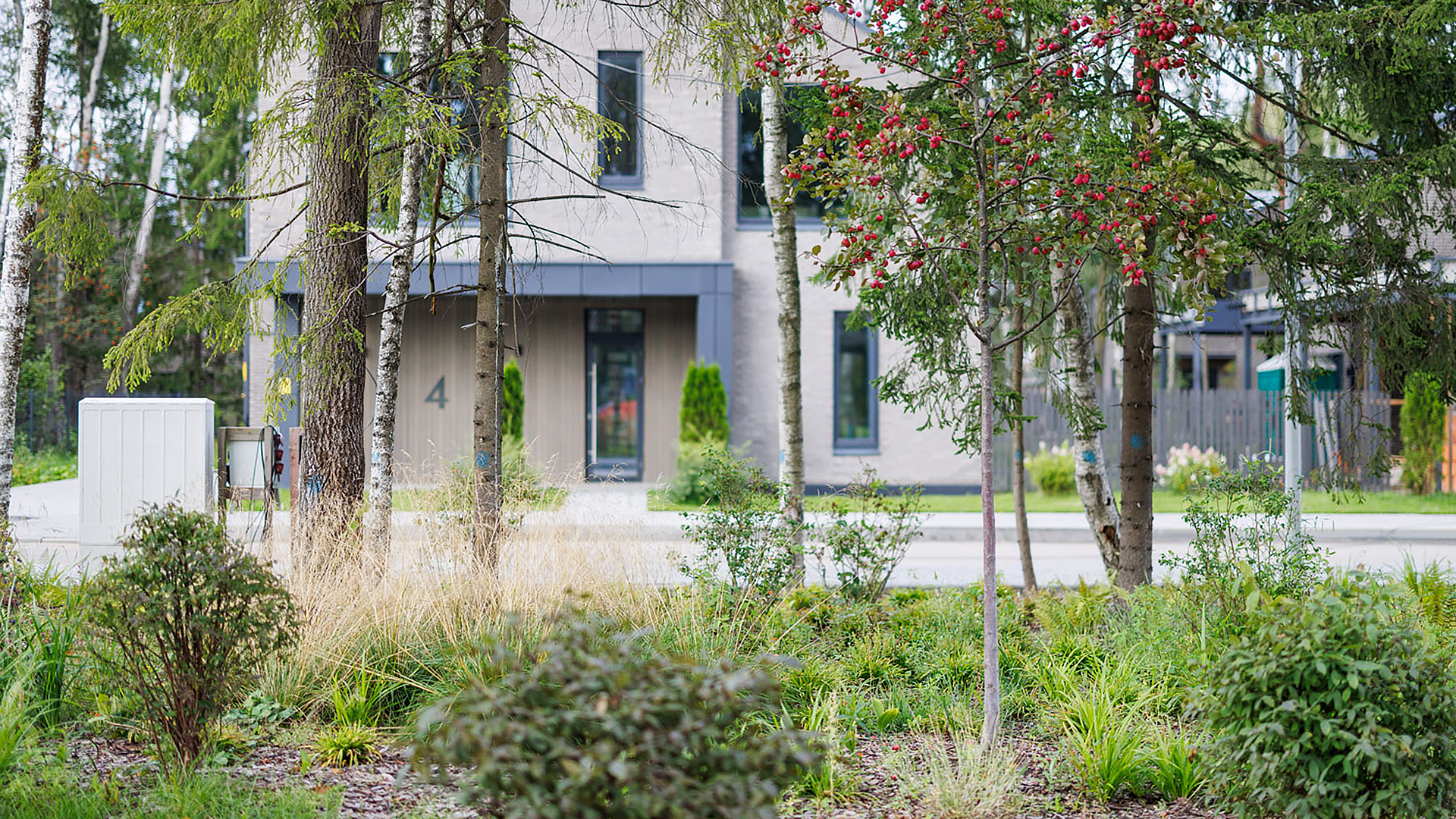 Дом среди деревьев