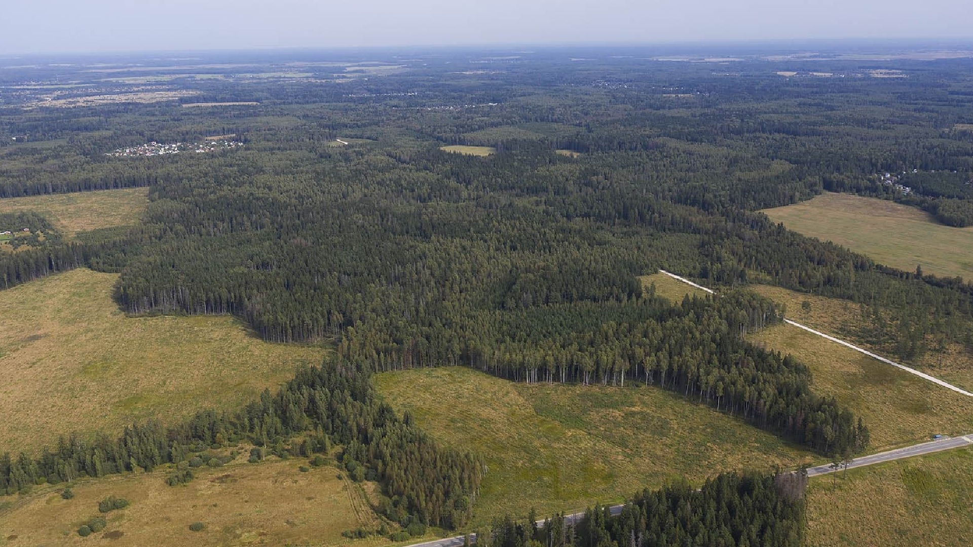 Лесной массив у коттеджного поселка
