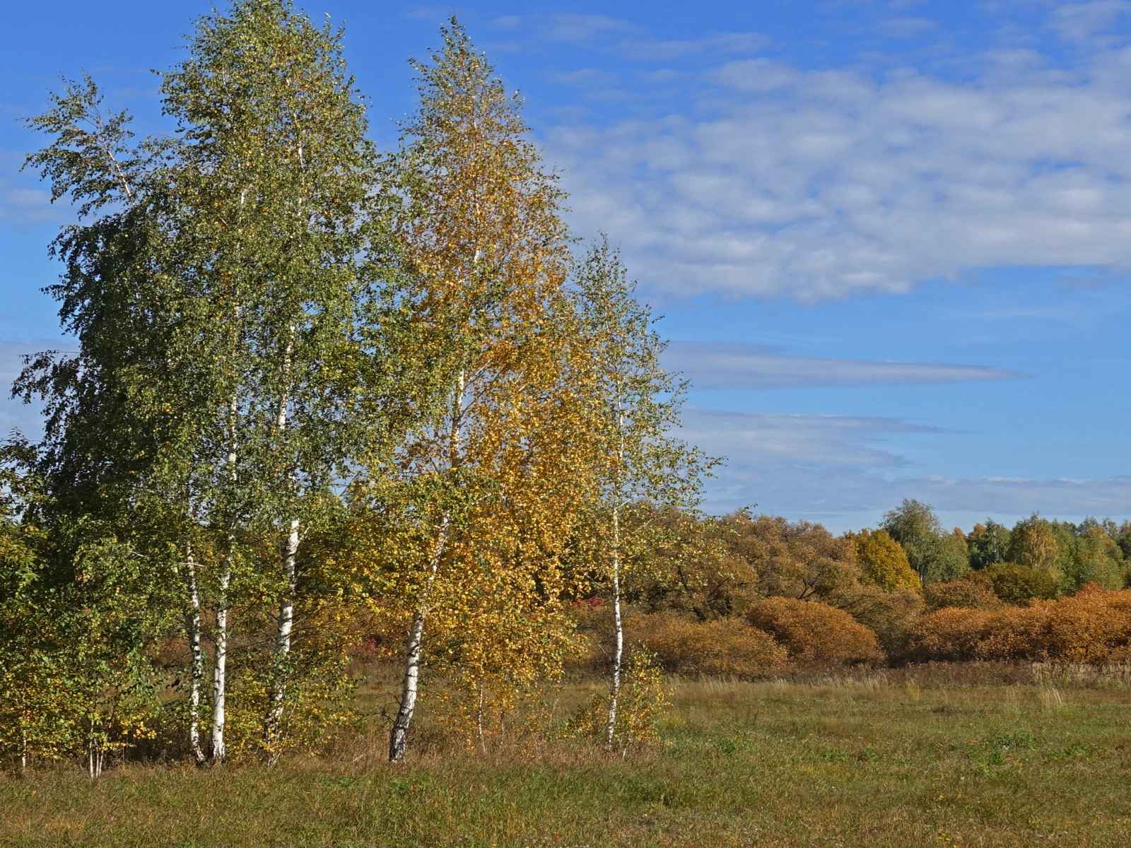 Участок №116 в поселке «Lakeside Residence»