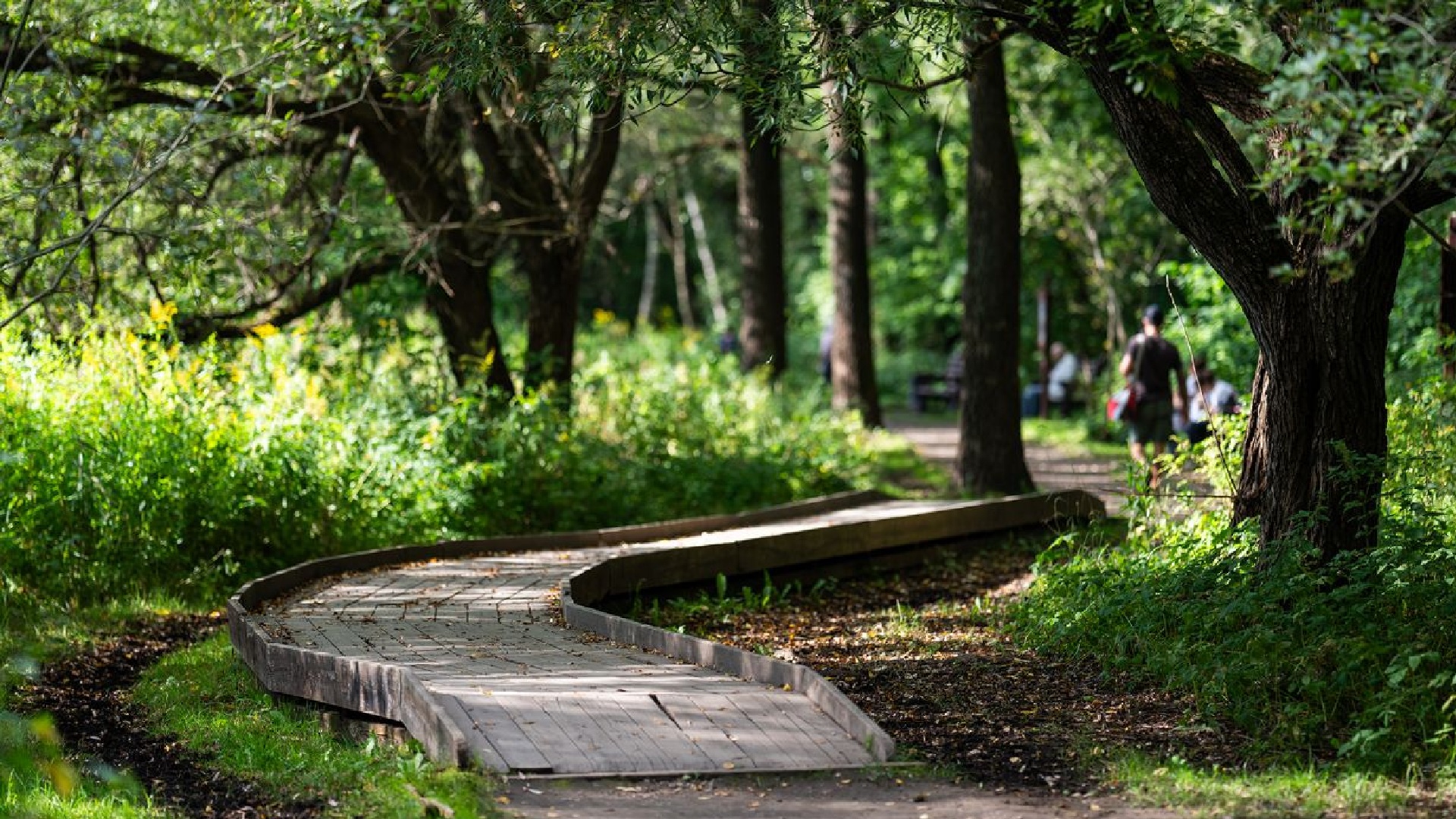 Прогулочная дорожка в парке