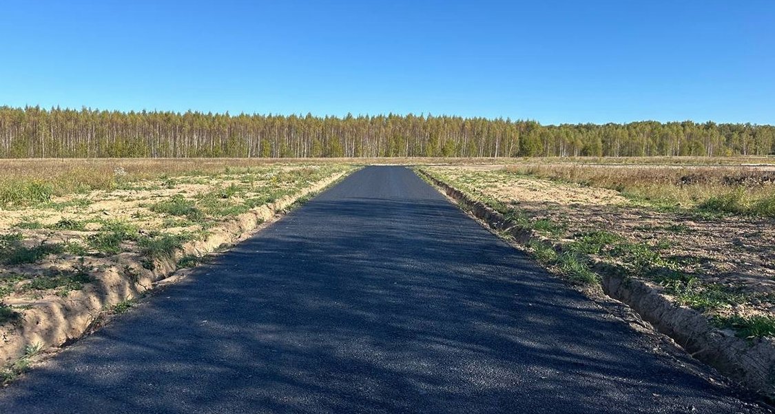 Пустая дорога до леса