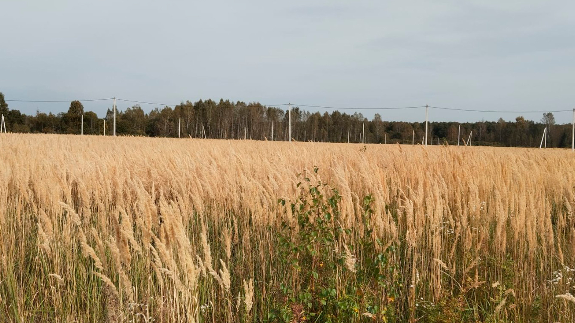 Дачный поселок "Раменье"