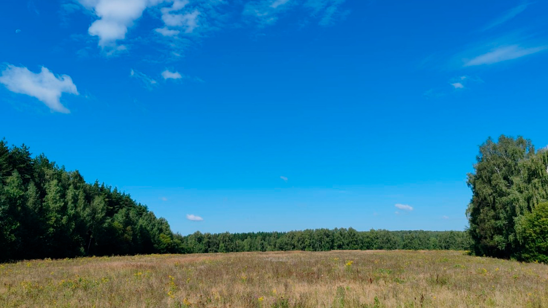 Коттеджный посёлок "Опушкино 3"