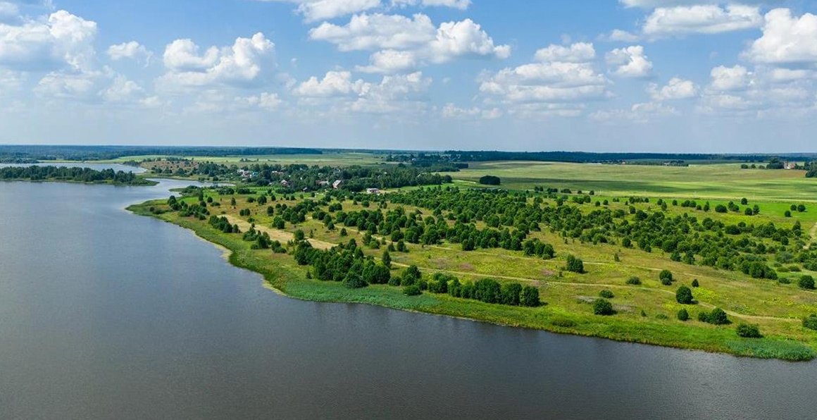 Река и берег с лесом