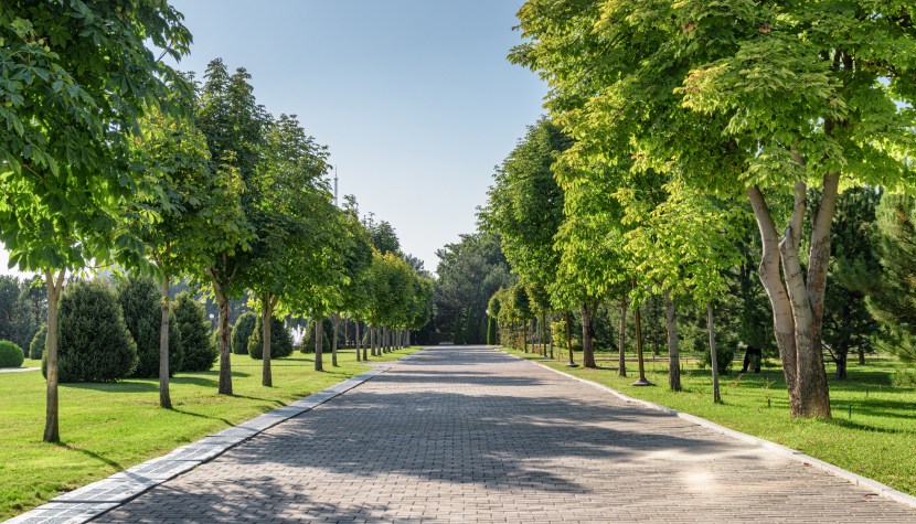 Sminex продает усадьбу Орлова-Давыдова