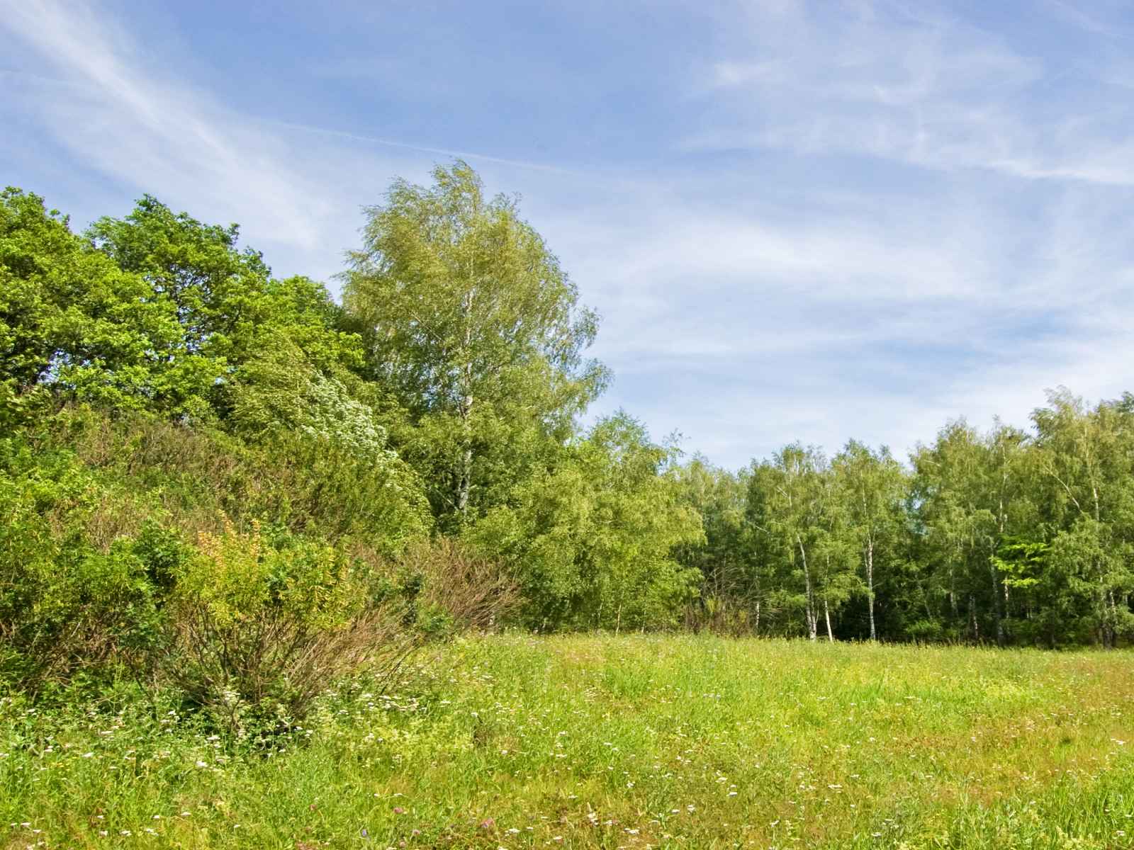 Участок №46 в поселке «Lakeside Residence»