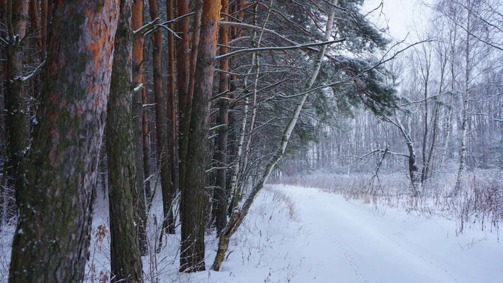 Полянка поблизости