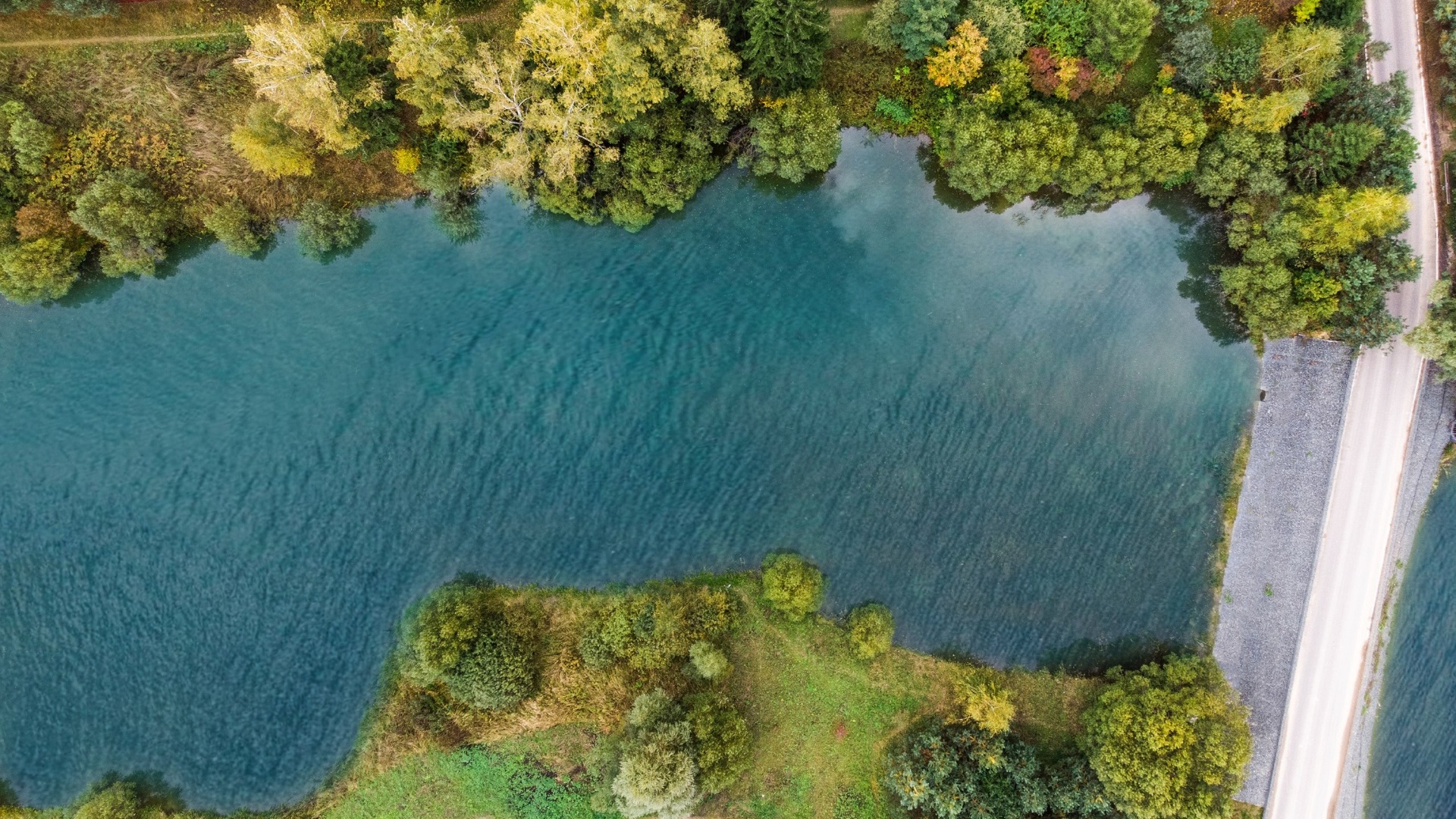 Водоем в лесу