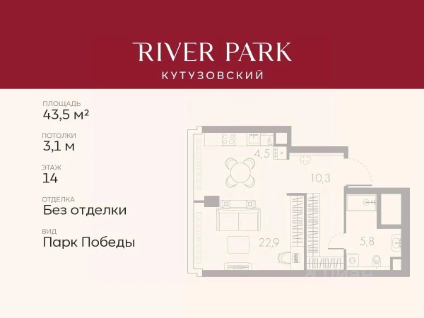 Планировка: Студия, 43.5 м²