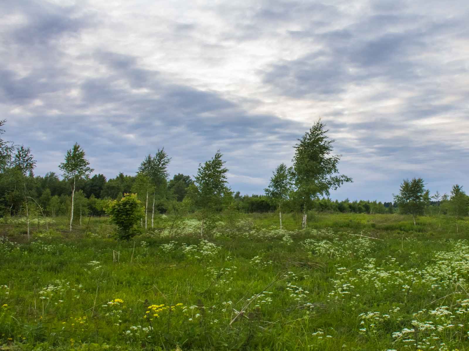 Участок №84 в поселке «Lakeside Residence»