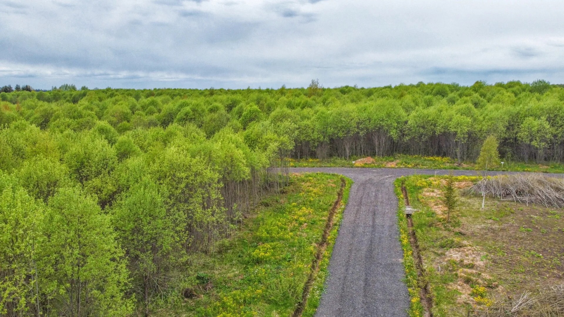 Поселочная дорога