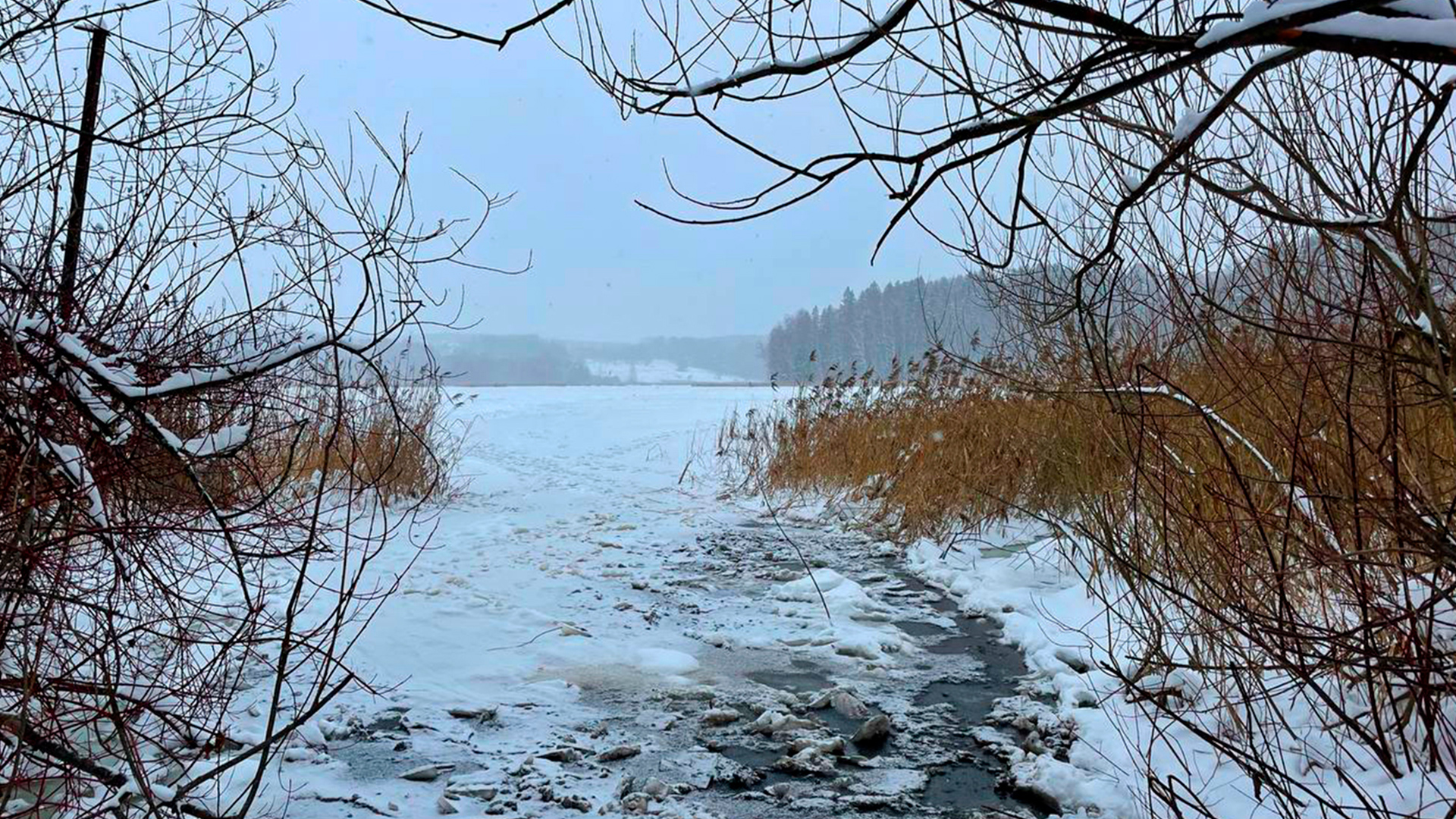 Яхромское водохранилище