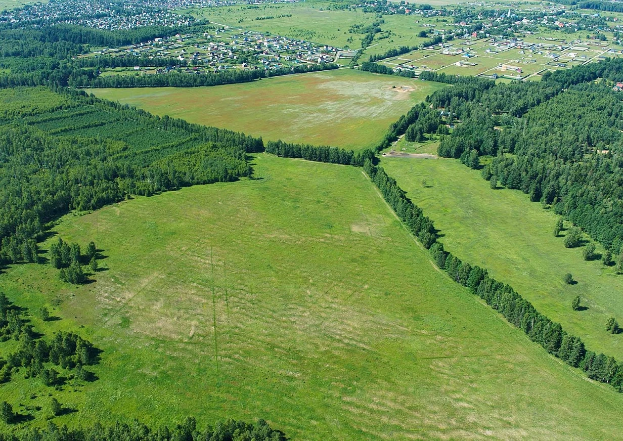 Лес у коттеджного поселка