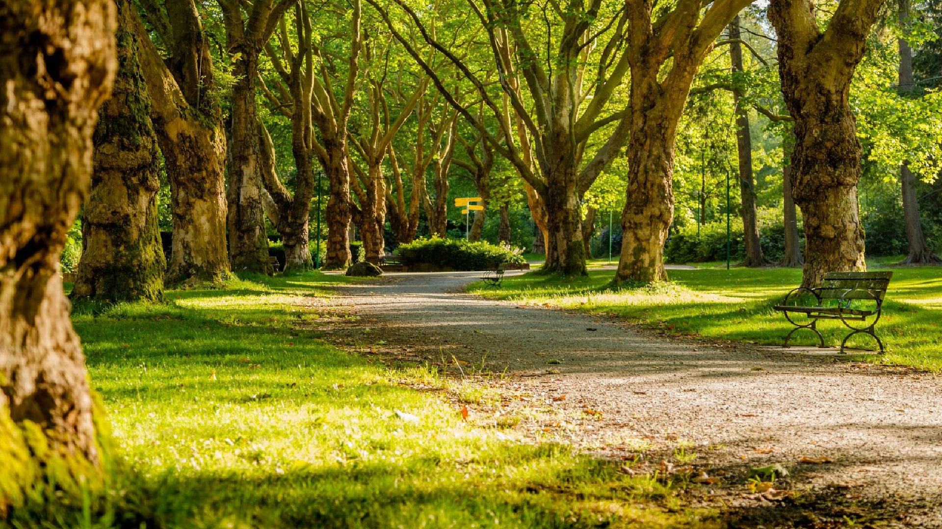 Парковая зона