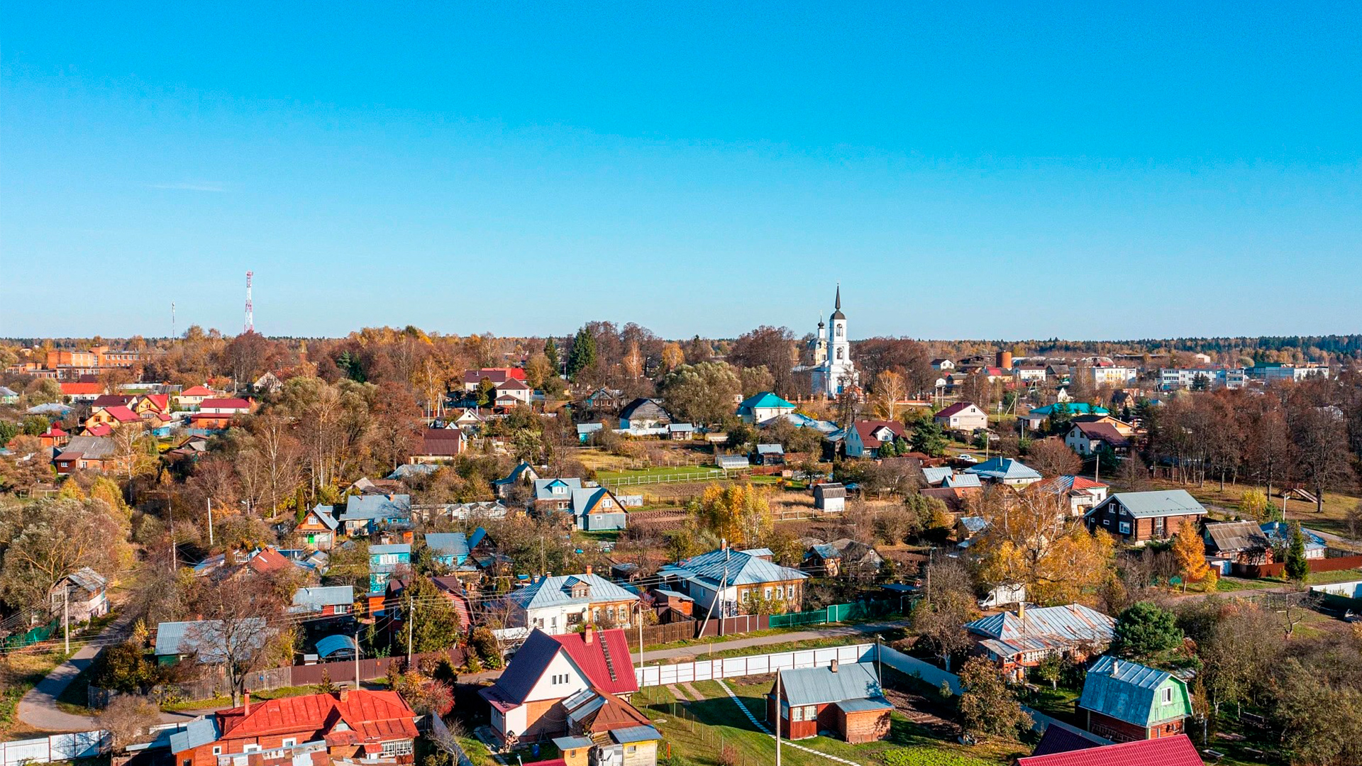 Живописный берег