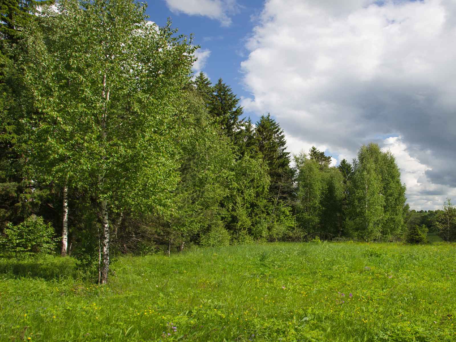 Участок №108 в поселке «Lakeside Residence»