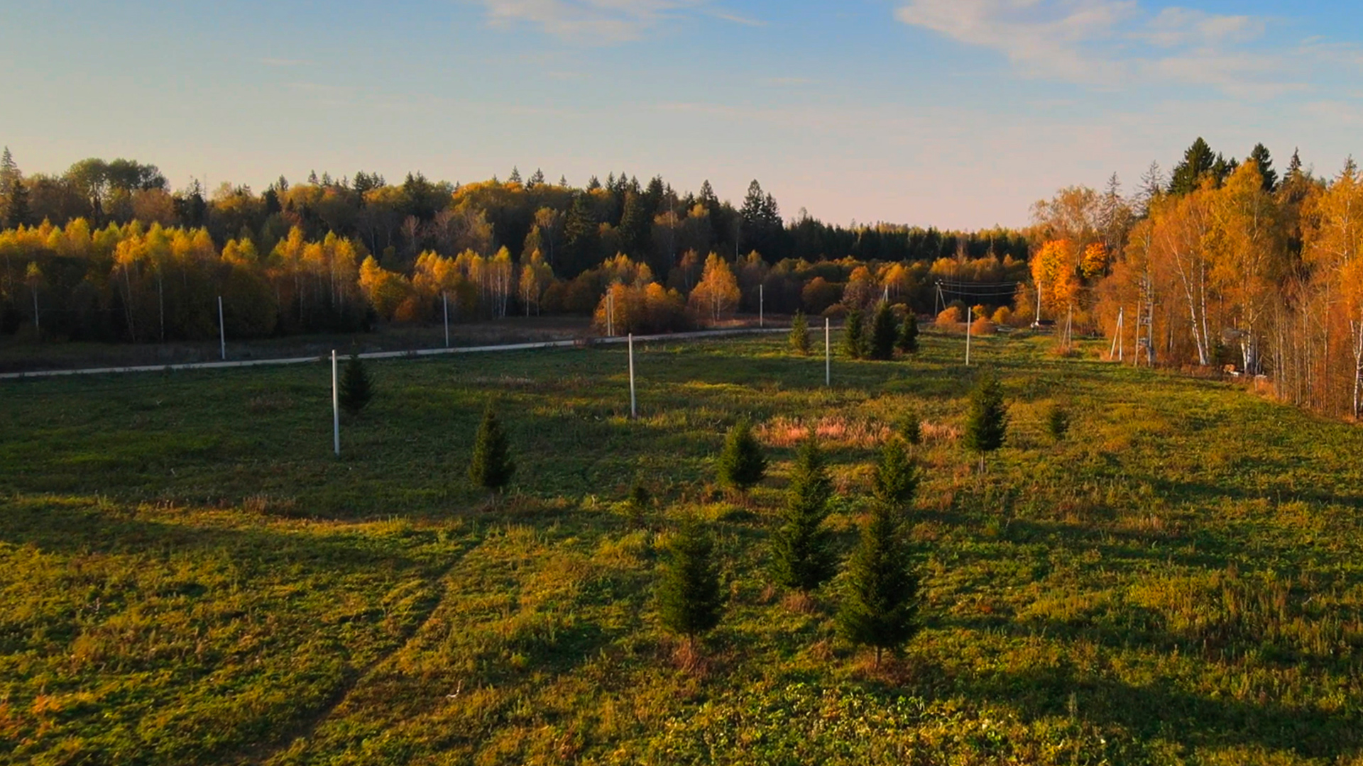 Участки с выходом в лес