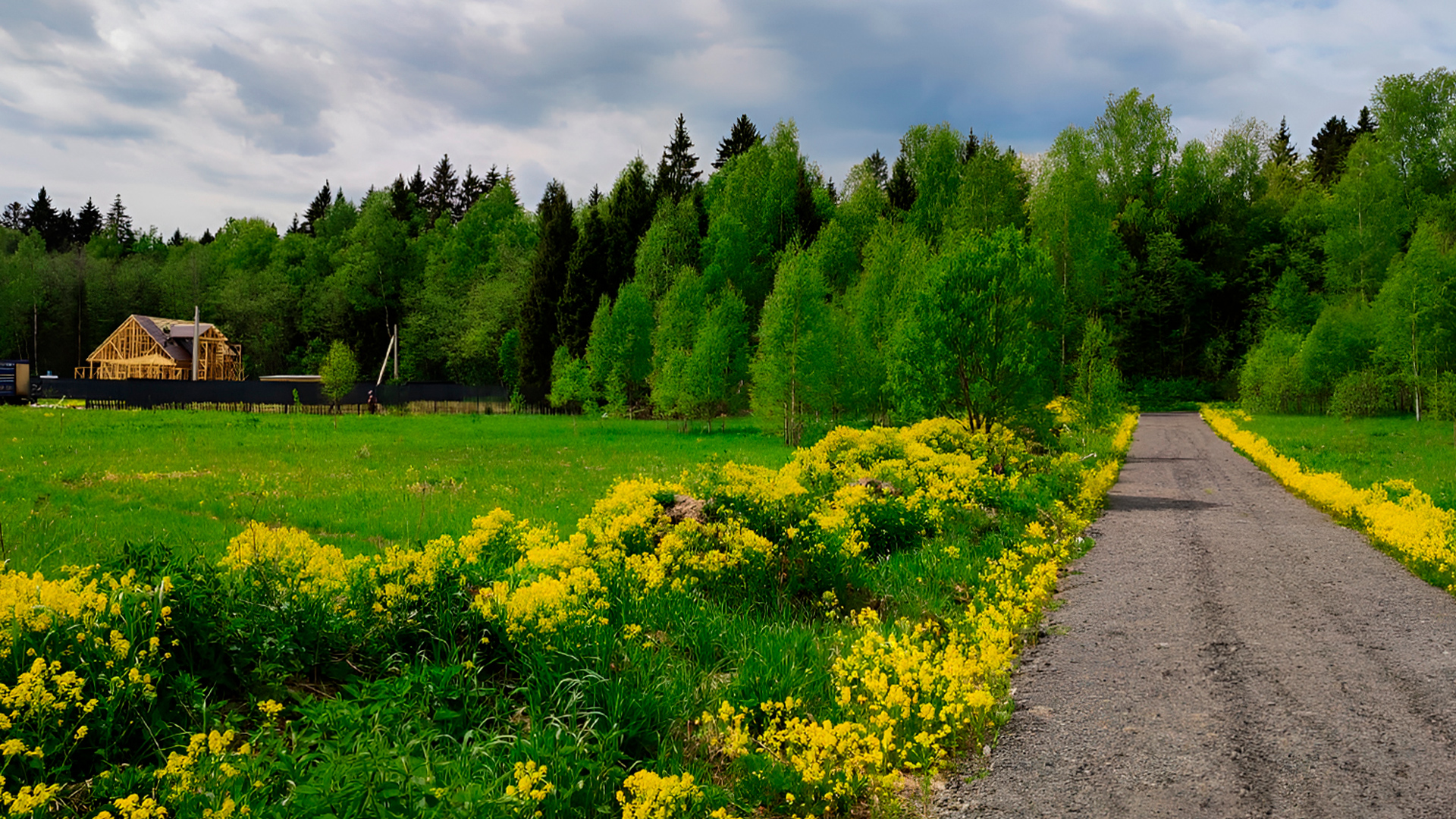 Дорога до участка
