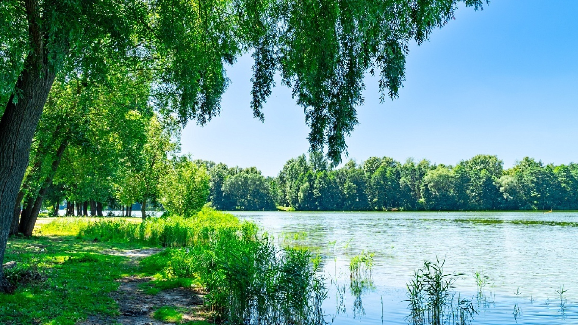 Купавинский