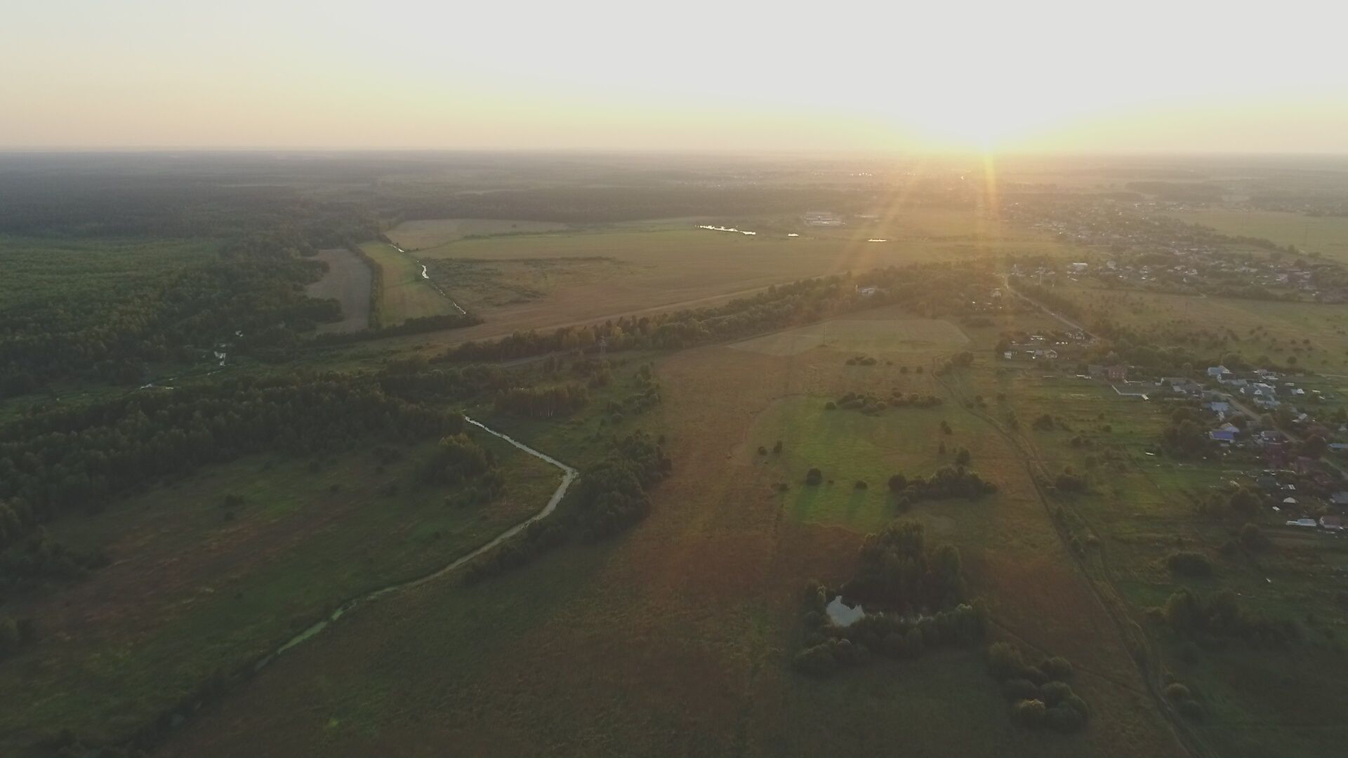 Лес у коттеджного поселка