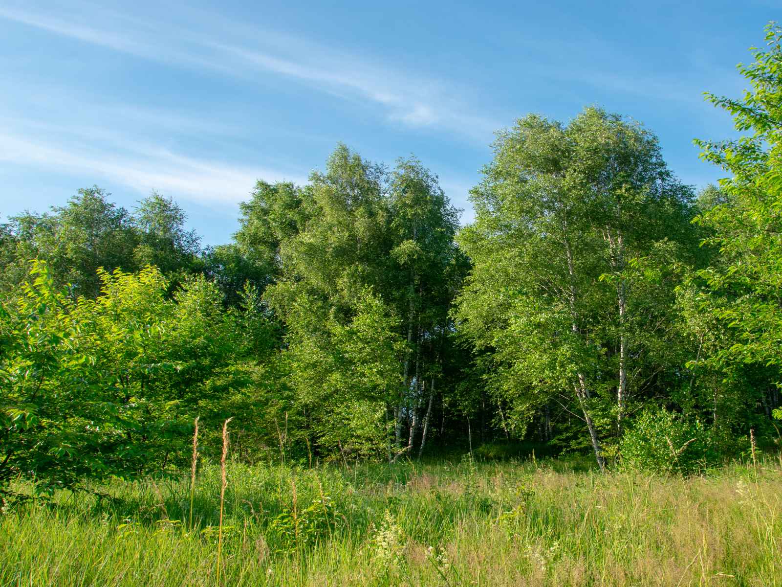 Участок №112 в поселке «Lakeside Residence»