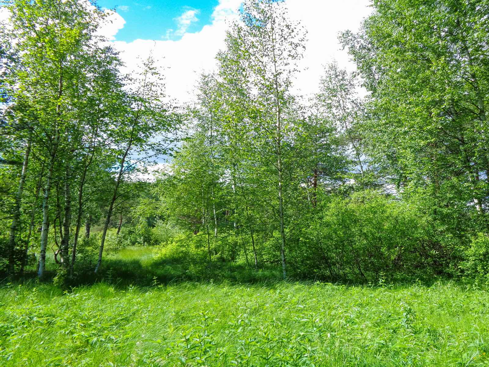 Участок №118 в поселке «Lakeside Residence»