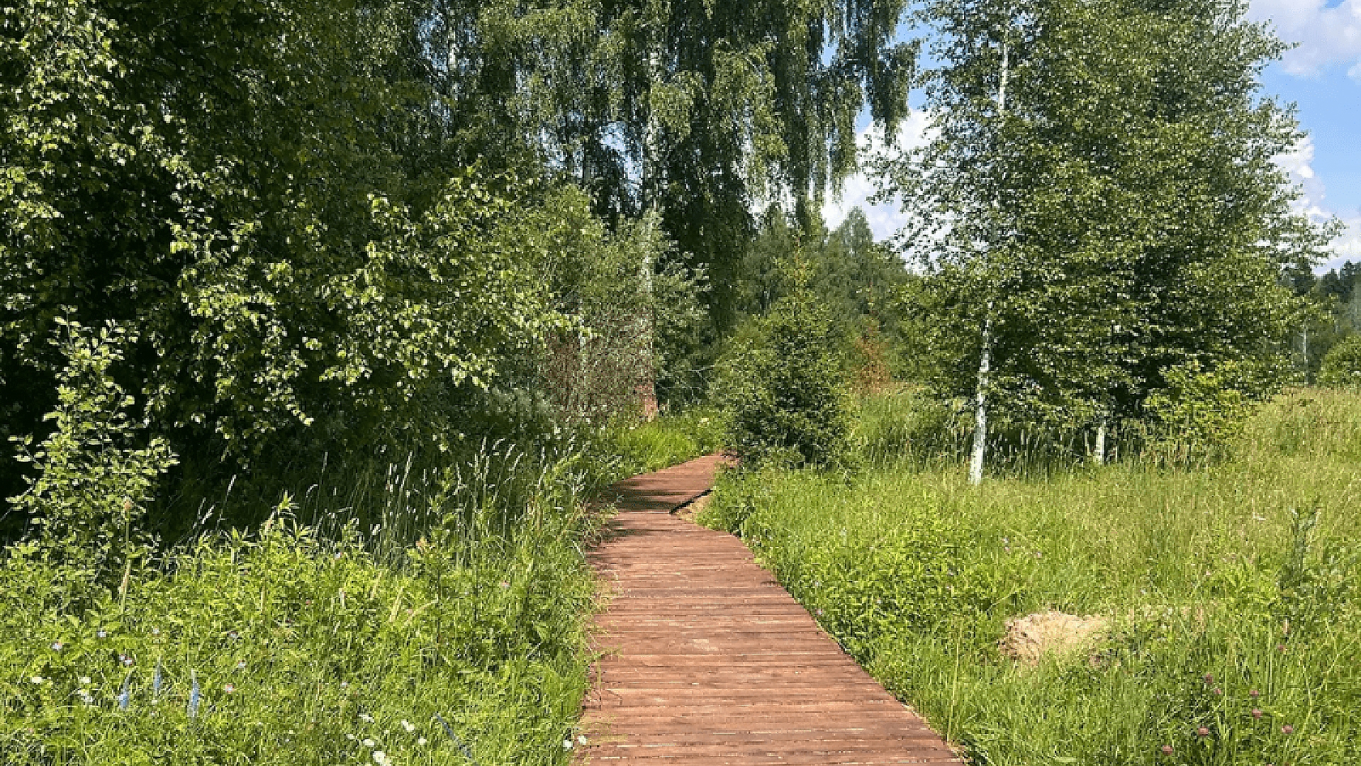 Тропа здоровья