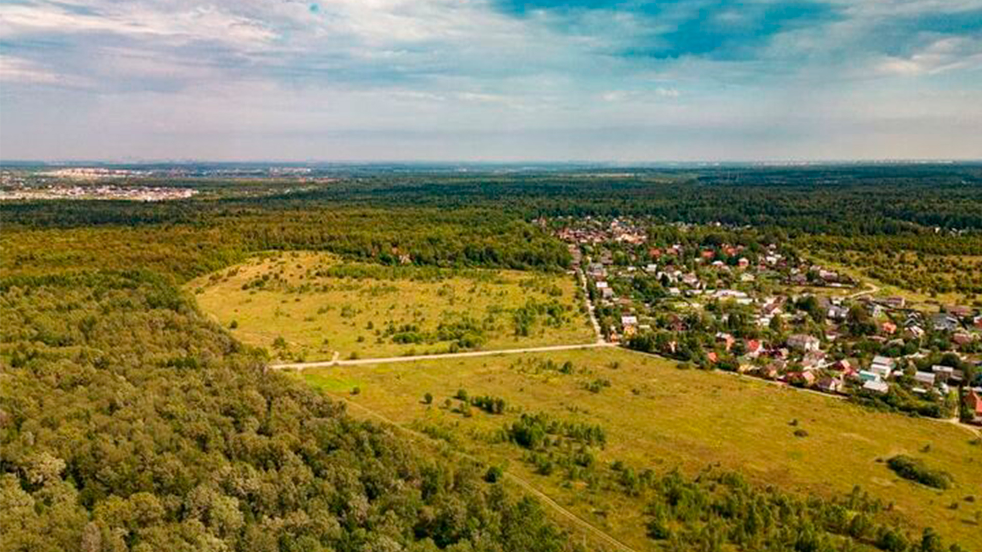 Лес вблизи поселка