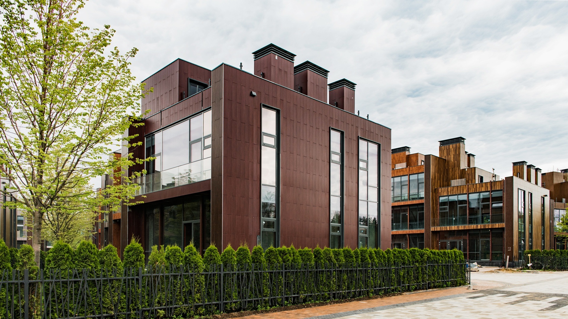 Туи у таунхауса