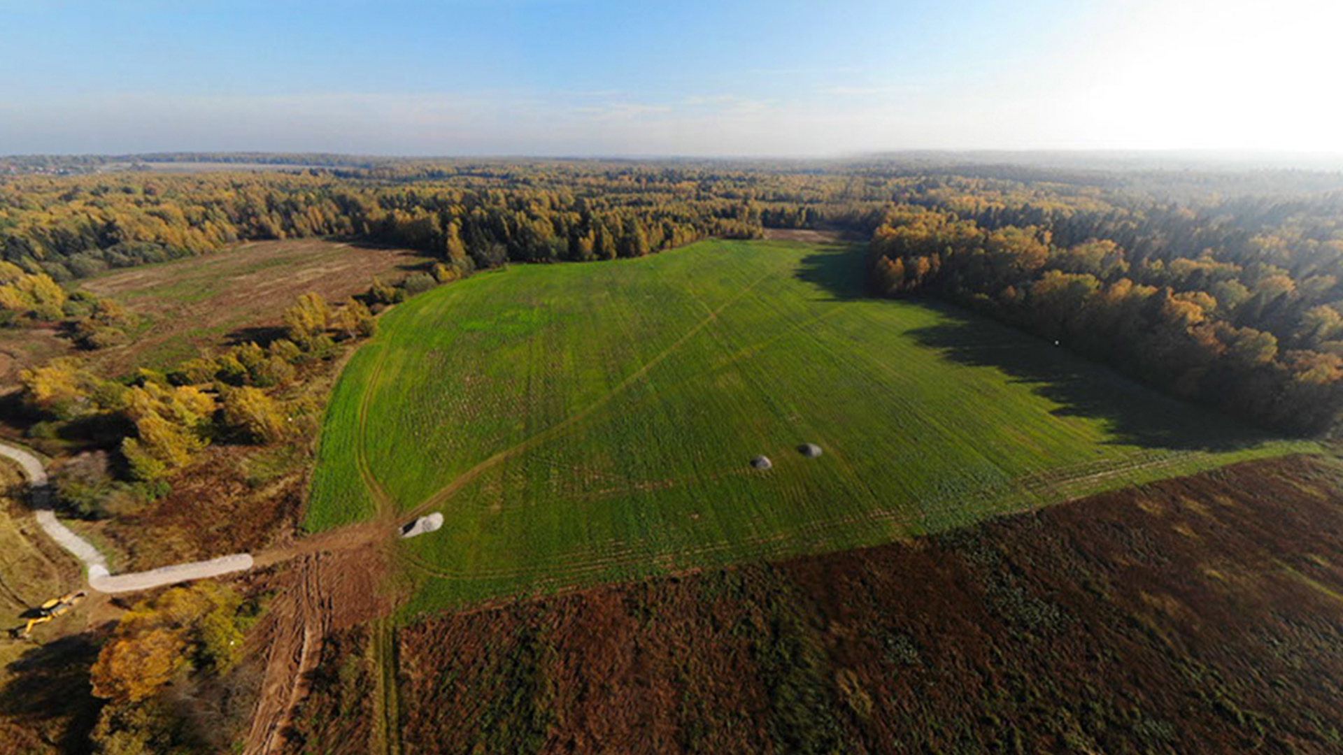 Лесная поляна