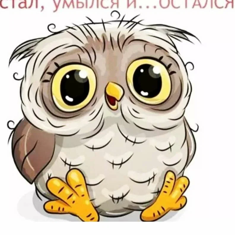 Д Ка