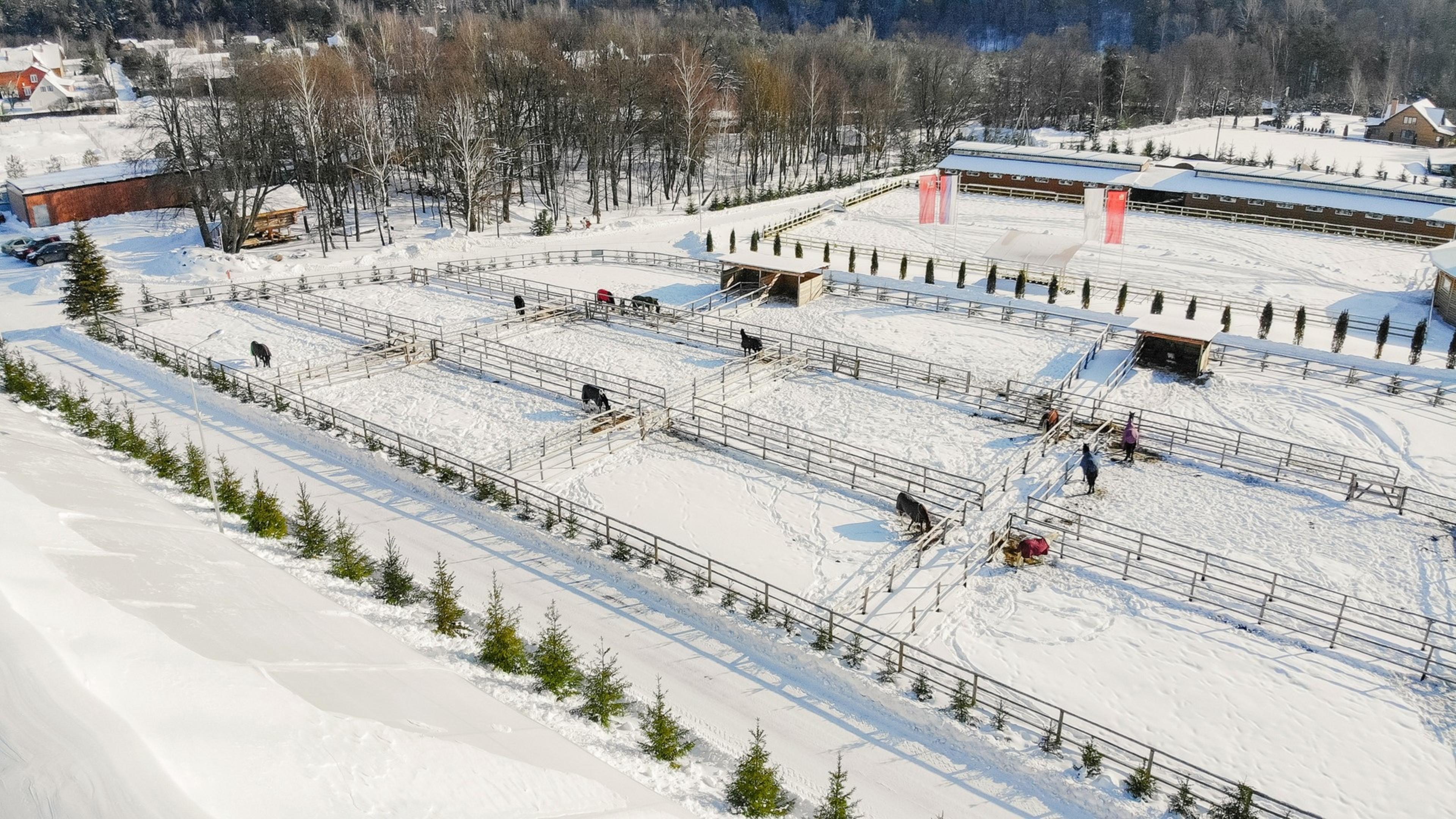 Конный клуб