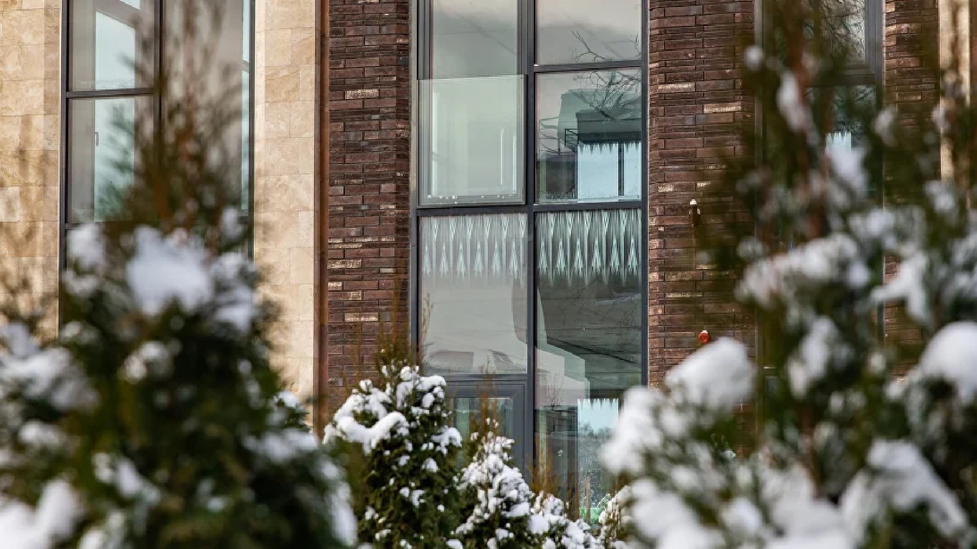 Ели в коттеджном поселке зимой