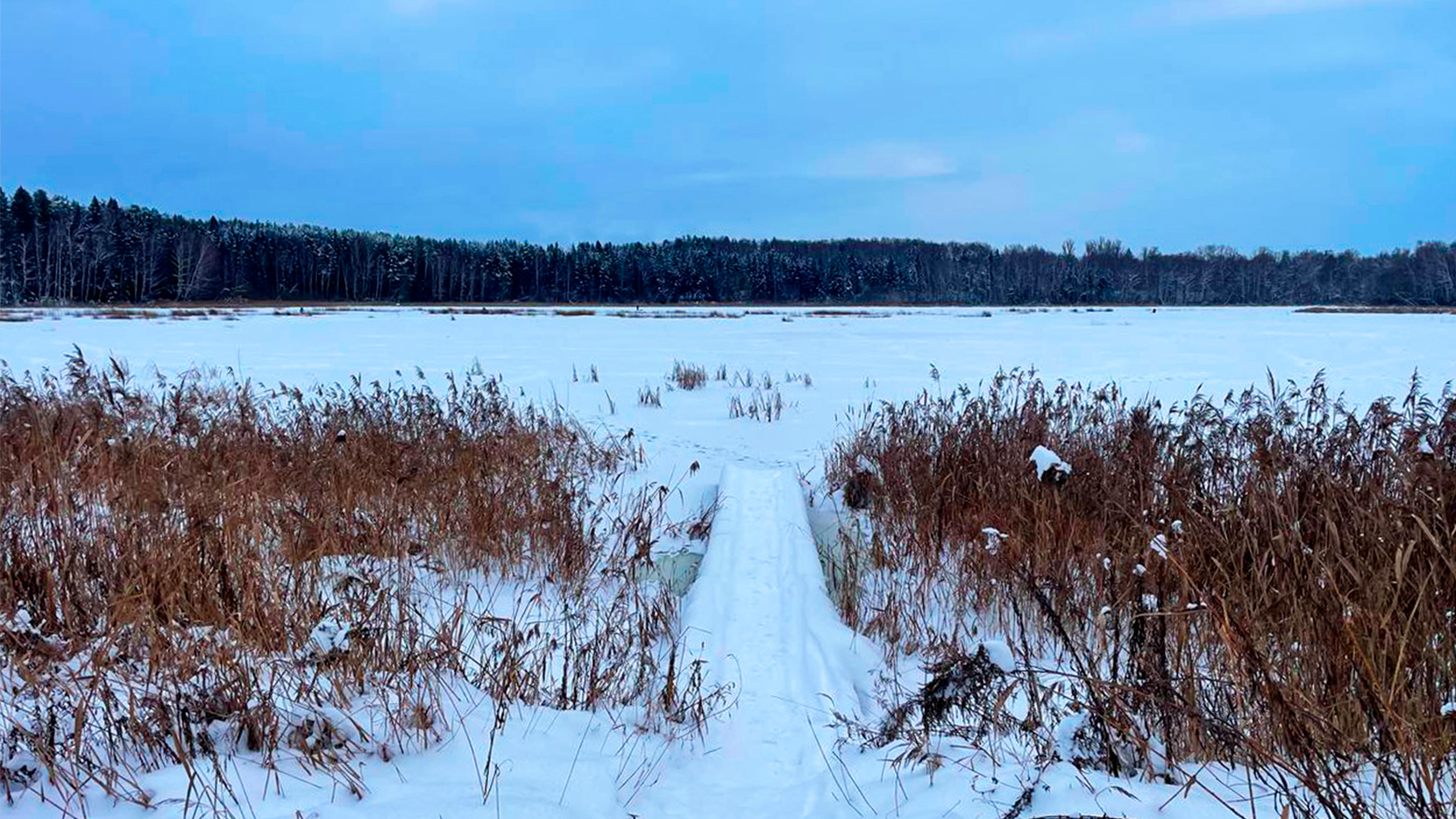 Участок под свободную застройку