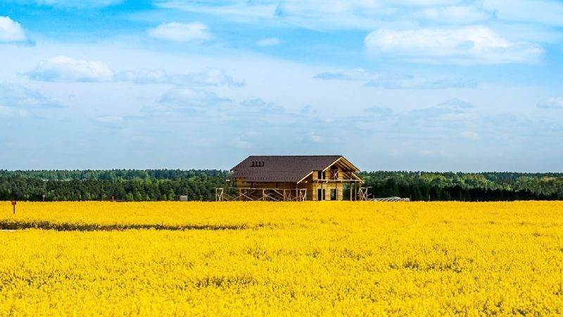 Участок 11 соток в посёлке «Shelkovo Forest»