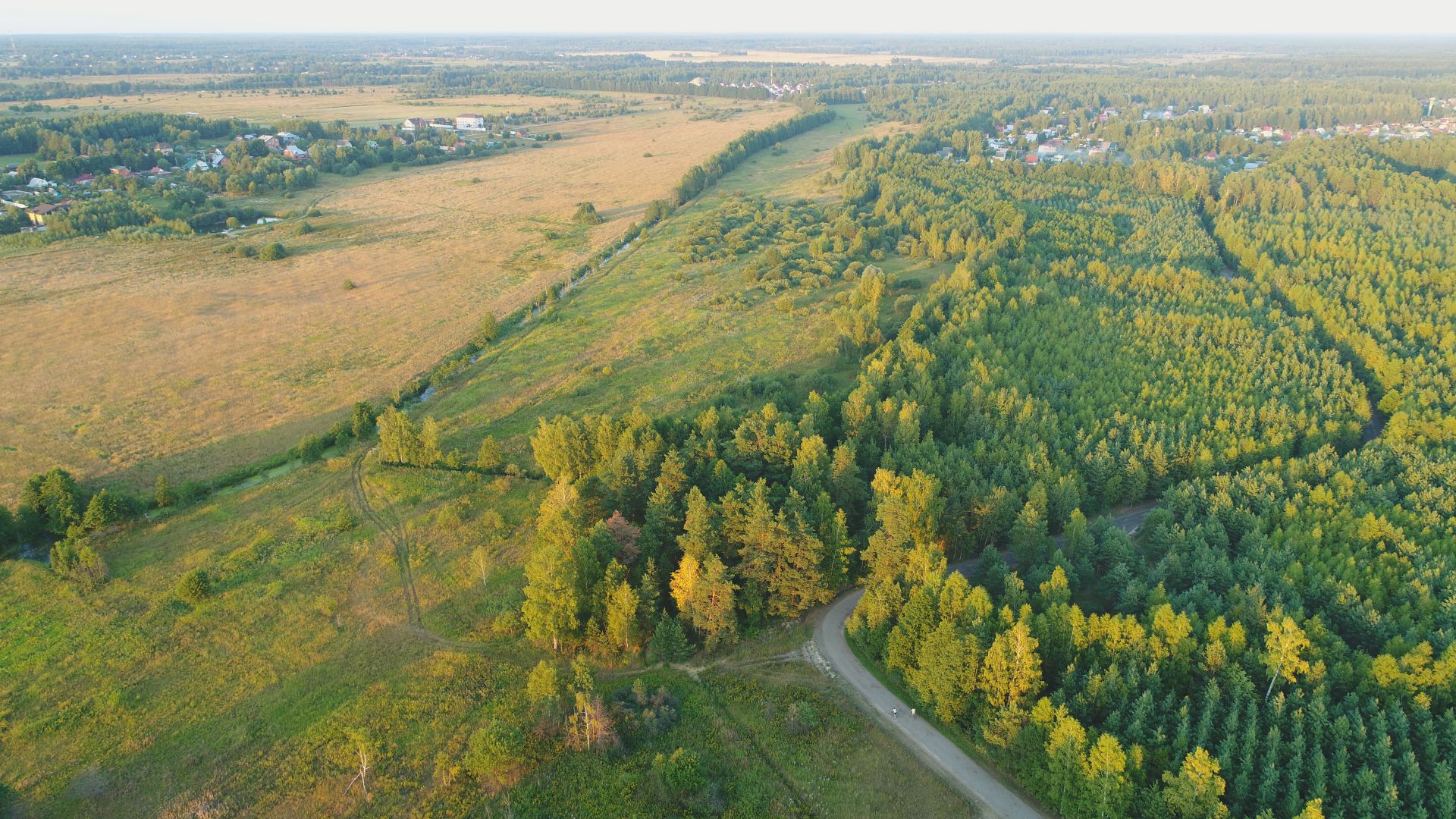 Лес вдоль поселка вид сверху