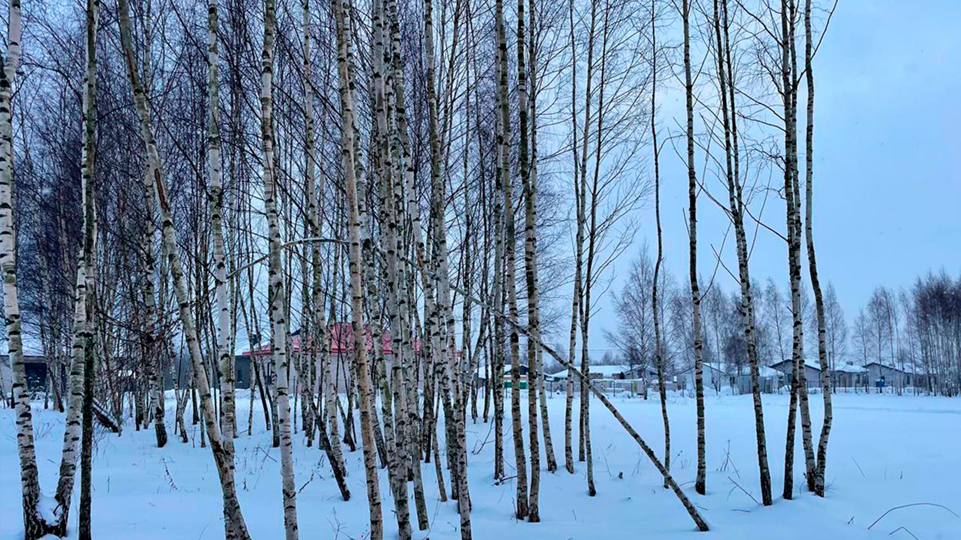 Ровные участки