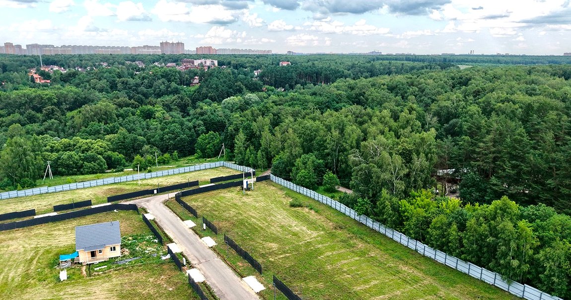 Лесной массив рядом с поселком