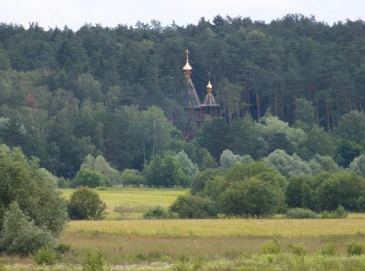 Участок №1671437 в посёлке «Грибаново»